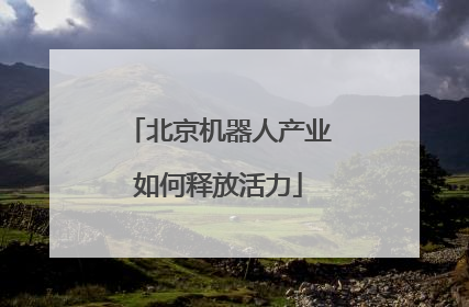 北京机器人产业如何释放活力