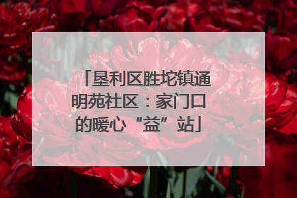 垦利区胜坨镇通明苑社区：家门口的暖心“益”站