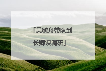 吴毓舟带队到长卿镇调研