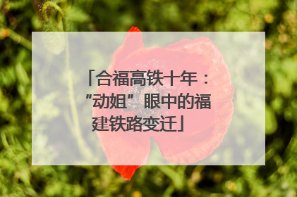 合福高铁十年：“动姐”眼中的福建铁路变迁