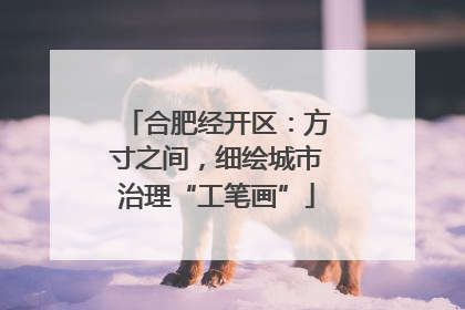 合肥经开区：方寸之间，细绘城市治理“工笔画”