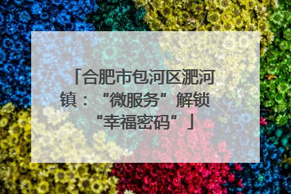 合肥市包河区淝河镇：“微服务”解锁“幸福密码”