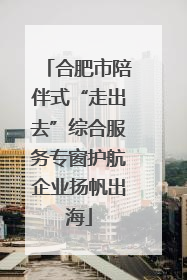 合肥市陪伴式“走出去”综合服务专窗护航企业扬帆出海
