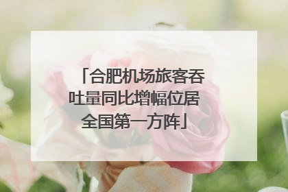 合肥机场旅客吞吐量同比增幅位居全国第一方阵