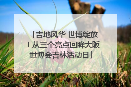 吉地风华 世博绽放！从三个亮点回眸大阪世博会吉林活动日