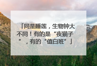 同是睡莲，生物钟大不同！有的是“夜猫子”，有的“值白班”