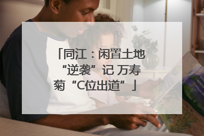 同江：闲置土地“逆袭”记 万寿菊“C位出道”