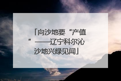 向沙地要“产值”——辽宁科尔沁沙地兴绿见闻