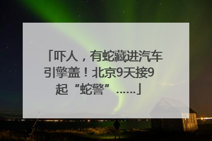 吓人，有蛇藏进汽车引擎盖！北京9天接9起“蛇警”……
