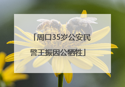 周口35岁公安民警王振因公牺牲