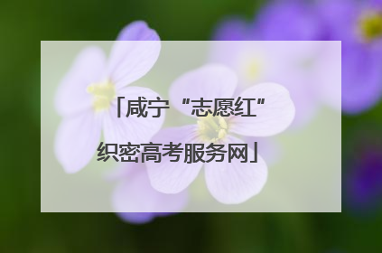 咸宁“志愿红”织密高考服务网