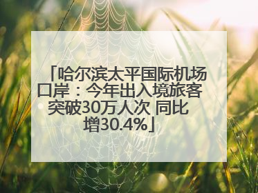 哈尔滨太平国际机场口岸：今年出入境旅客突破30万人次 同比增30.4%