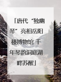 唐代“独幽琴”亮相岳阳楼博物馆 千年琴韵洞庭湖畔苏醒