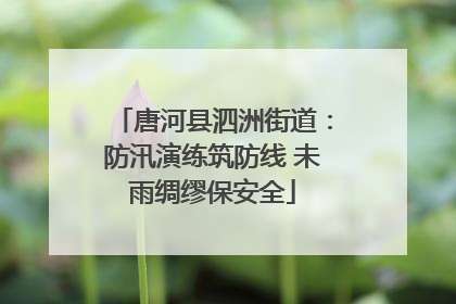 唐河县泗洲街道：防汛演练筑防线 未雨绸缪保安全