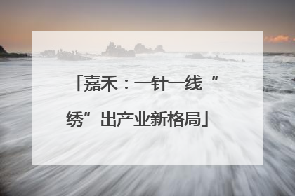 嘉禾：一针一线“绣”出产业新格局