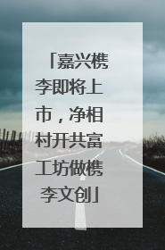 嘉兴槜李即将上市，净相村开共富工坊做槜李文创