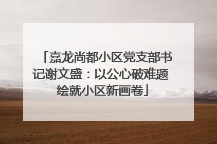 嘉龙尚都小区党支部书记谢文盛：以公心破难题 绘就小区新画卷