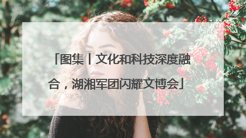 图集丨文化和科技深度融合，湖湘军团闪耀文博会
