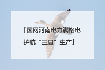 国网河南电力满格电护航“三夏”生产