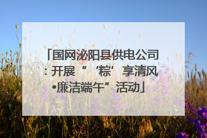 国网泌阳县供电公司：开展“‘粽’享清风 •廉洁端午”活动