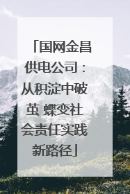 国网金昌供电公司：从积淀中破茧 蝶变社会责任实践新路径