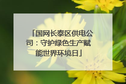 国网长泰区供电公司：守护绿色生产赋能世界环境日