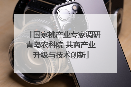 国家桃产业专家调研青岛农科院 共商产业升级与技术创新