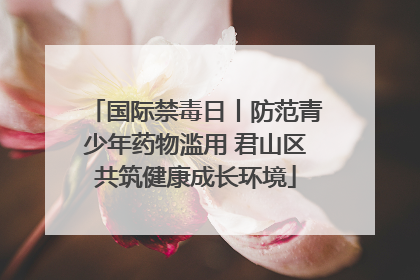 国际禁毒日丨防范青少年药物滥用 君山区共筑健康成长环境