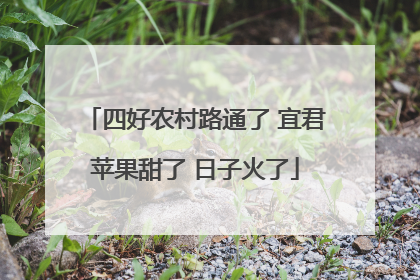 四好农村路通了 宜君苹果甜了 日子火了
