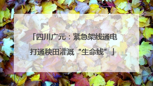 四川广元：紧急架线通电 打通秧田灌溉“生命线”