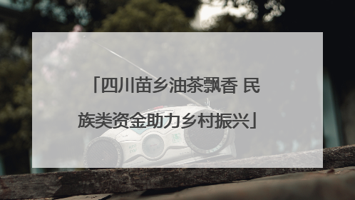 四川苗乡油茶飘香 民族类资金助力乡村振兴