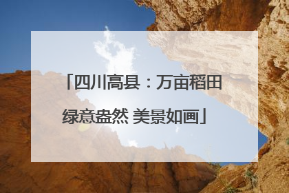 四川高县：万亩稻田绿意盎然 美景如画