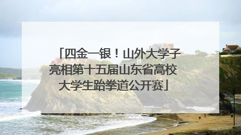 四金一银！山外大学子亮相第十五届山东省高校大学生跆拳道公开赛