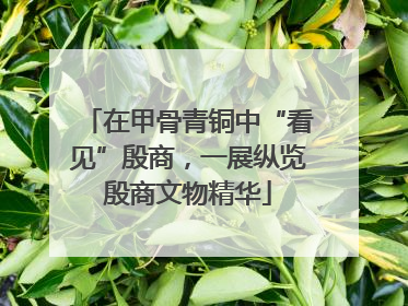 在甲骨青铜中“看见”殷商，一展纵览殷商文物精华