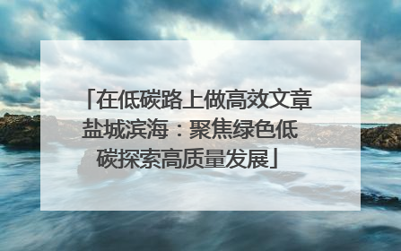 在低碳路上做高效文章 盐城滨海：聚焦绿色低碳探索高质量发展
