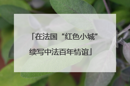 在法国“红色小城”续写中法百年情谊