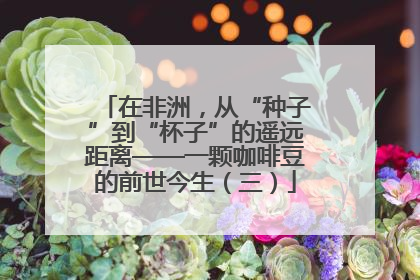 在非洲，从“种子”到“杯子”的遥远距离——一颗咖啡豆的前世今生（三）