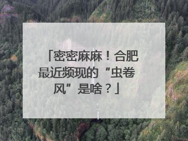 密密麻麻！合肥最近频现的“虫卷风”是啥？
