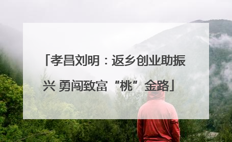 孝昌刘明：返乡创业助振兴 勇闯致富“桃”金路