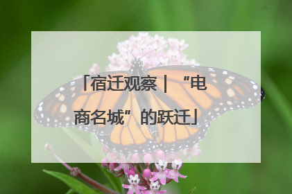 宿迁观察｜“电商名城”的跃迁