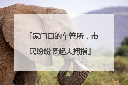 家门口的车管所，市民纷纷竖起大拇指