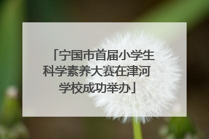宁国市首届小学生科学素养大赛在津河学校成功举办