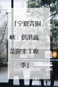 宁夏青铜峡：供港蔬菜迎来丰收季