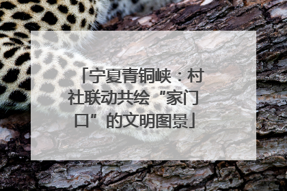 宁夏青铜峡：村社联动共绘“家门口”的文明图景