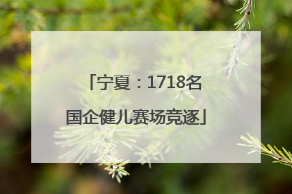 宁夏：1718名国企健儿赛场竞逐