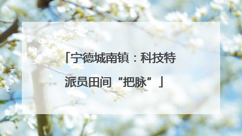 宁德城南镇：科技特派员田间“把脉”