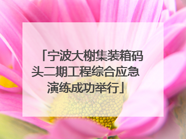 宁波大榭集装箱码头二期工程综合应急演练成功举行