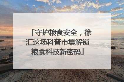守护粮食安全，徐汇这场科普市集解锁粮食科技新密码
