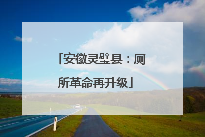 安徽灵璧县：厕所革命再升级