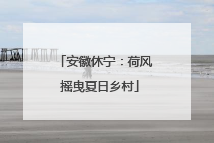 安徽休宁：荷风摇曳夏日乡村